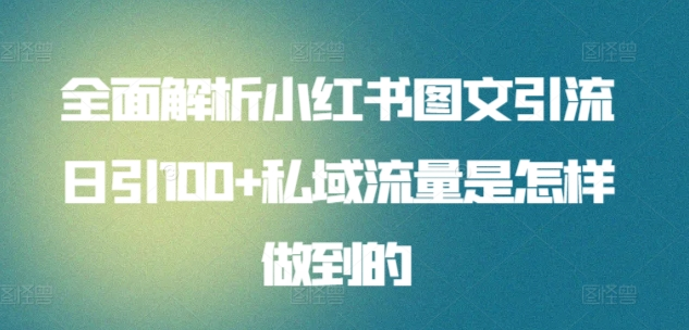 全面解析小红书图文引流日引100私域流量是怎样做到的-猪猪博客网