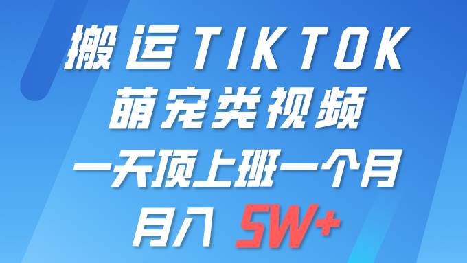 一键搬运TIKTOK萌宠类视频 一部手机即可操作 所有平台均可发布 轻松月入5W+-猪猪博客网