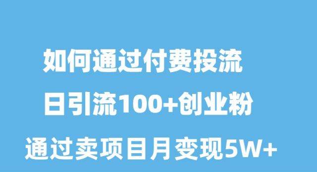 如何通过付费投流日引流100+创业粉月变现5W+-猪猪博客网