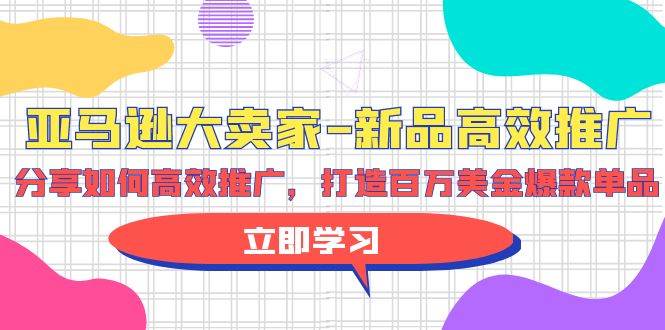 亚马逊 大卖家-新品高效推广，分享如何高效推广，打造百万美金爆款单品-猪猪博客网