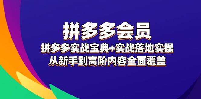 拼多多 会员，拼多多实战宝典+实战落地实操，从新手到高阶内容全面覆盖-猪猪博客网