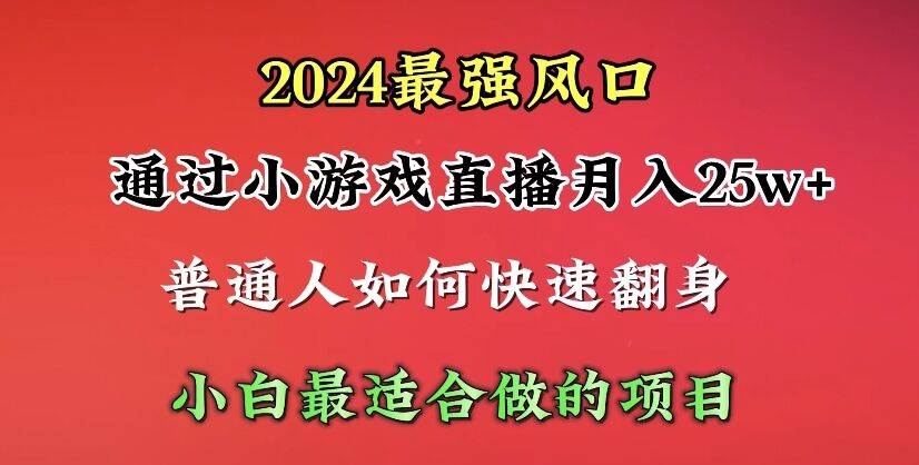 2024年最强风口，通过小游戏直播月入25w+单日收益5000+小白最适合做的项目-猪猪博客网