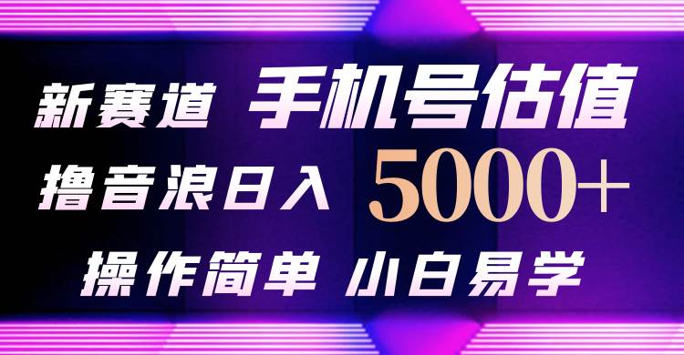抖音不出境直播【手机号估值】最新撸音浪，日入5000+，简单易学，适合…-猪猪博客网