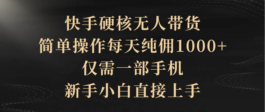 快手硬核无人带货，简单操作每天纯佣1000+,仅需一部手机，新手小白直接上手-猪猪博客网
