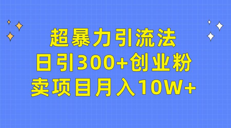 超暴力引流法，日引300+创业粉，卖项目月入10W+-猪猪博客网