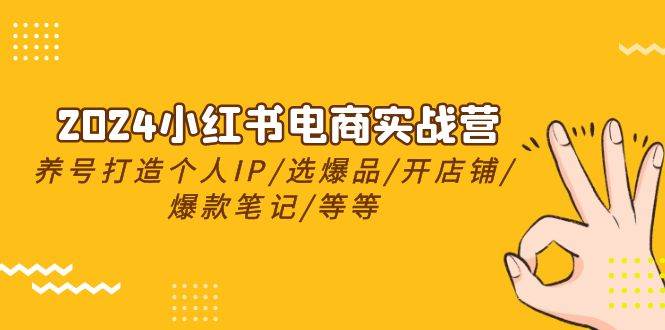 2024小红书电商实战营，养号打造IP/选爆品/开店铺/爆款笔记/等等（24节）-猪猪博客网