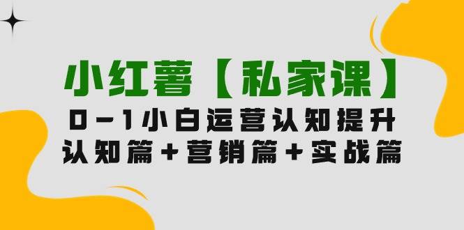 小红薯【私家课】0-1玩赚小红书内容营销，认知篇+营销篇+实战篇（11节课）-猪猪博客网