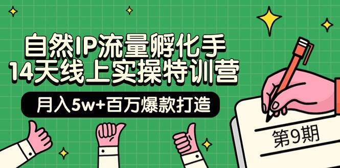 自然IP流量孵化手 14天线上实操特训营【第9期】月入5w+百万爆款打造 (74节)-猪猪博客网