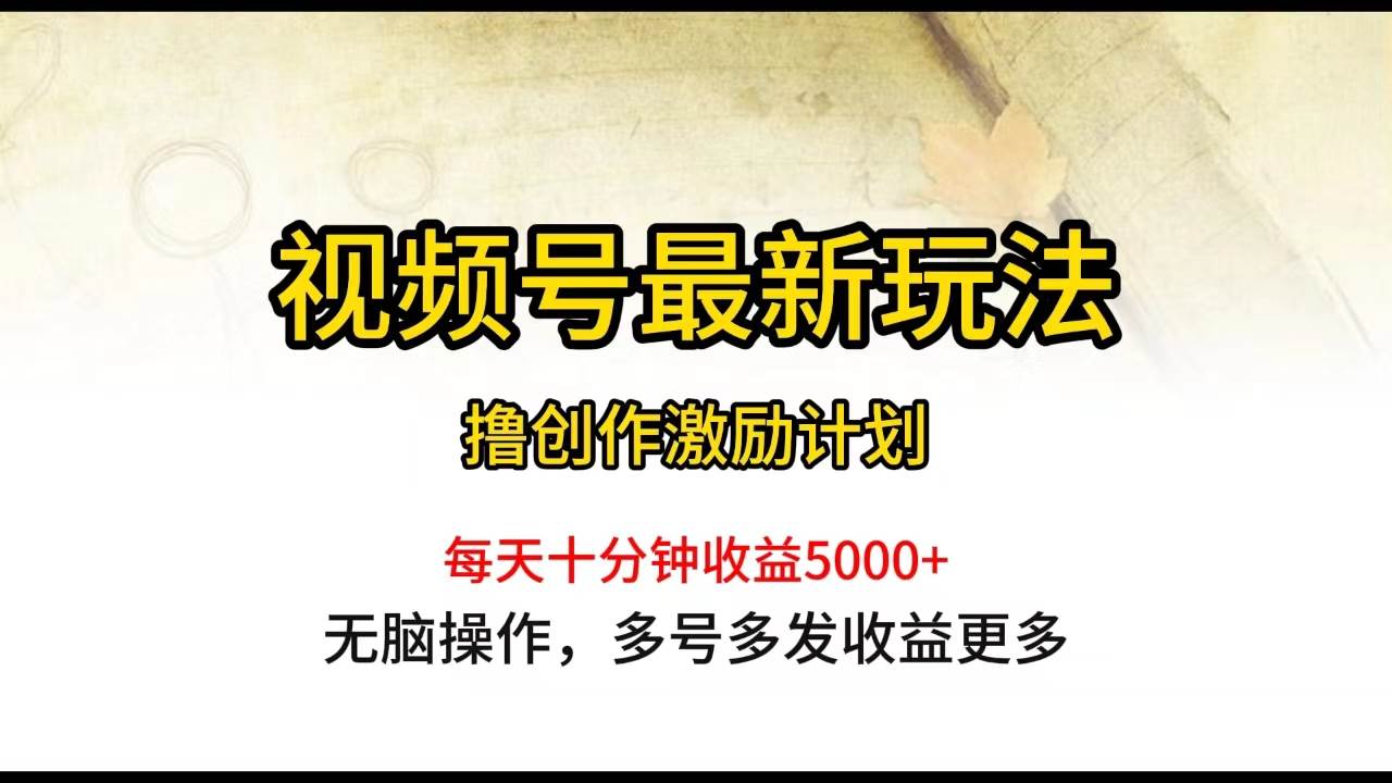 视频号最新玩法，每日一小时月入5000+-猪猪博客网