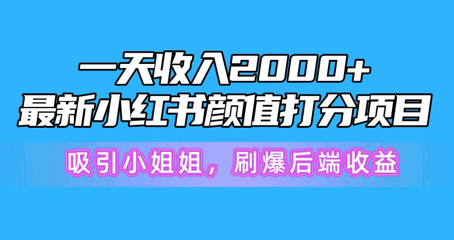 一天收入2000+，最新小红书颜值打分项目，吸引小姐姐，刷爆后端收益-猪猪博客网