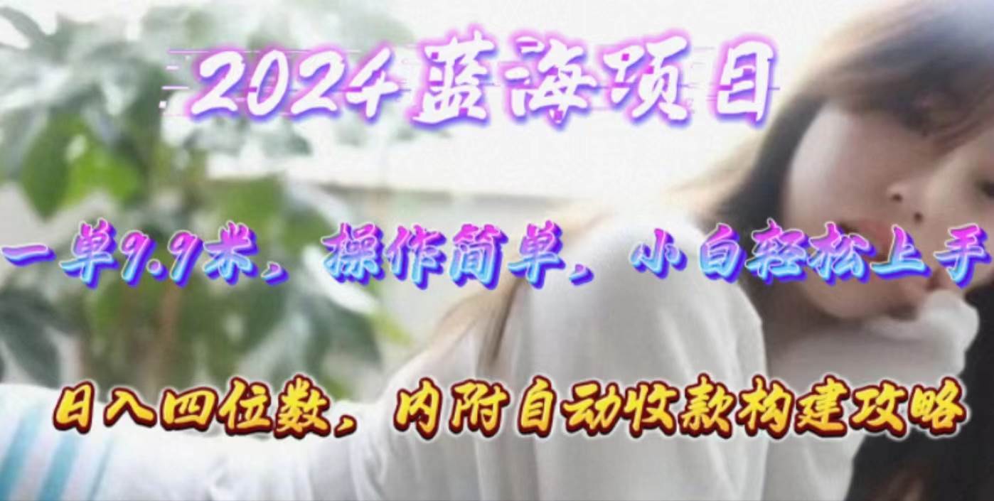 年轻群体的蓝海市场，1单9.9元，操作简单，小白轻松上手，日入四位数-猪猪博客网