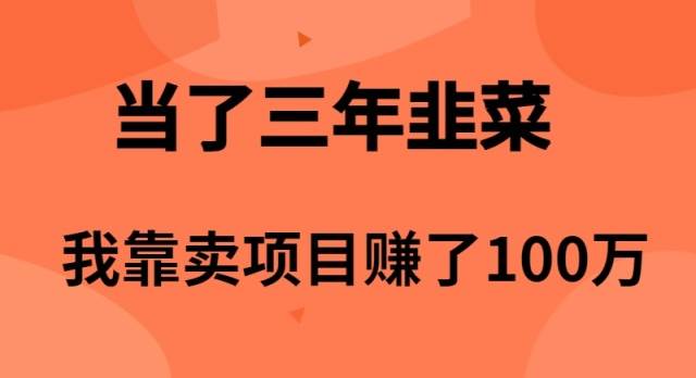当了3年韭菜，我靠卖项目赚了100万-猪猪博客网