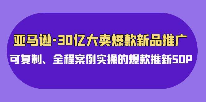 亚马逊30亿·大卖爆款新品推广，可复制、全程案例实操的爆款推新SOP-猪猪博客网